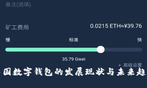 中国数字钱包的发展现状与未来趋势