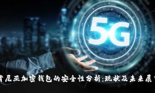 肯尼亚加密钱包的安全性分析：现状及未来展望