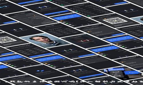 t p钱包的主体在国内吗？深入解析与发展趋势