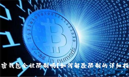 加密钱包会被限制吗？如何解除限制的详细指南