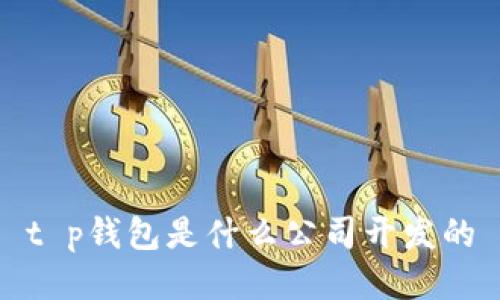 t p钱包是什么公司开发的
