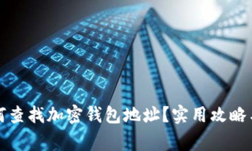 被骗后如何查找加密钱包地址？实用攻略与注意事项