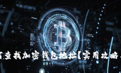 被骗后如何查找加密钱包地址？实用攻略与注意事项