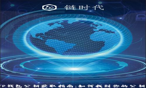 
TP钱包公钥获取指南：如何找到你的公钥？