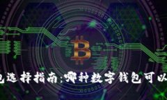 数字钱包选择指南：哪种数字钱包可以兑换币？