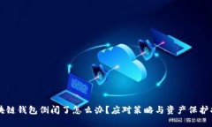 区块链钱包倒闭了怎么办？应对策略与资产保护