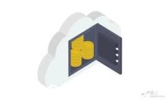 数字钱包安全性分析：选择最安全的数字钱包