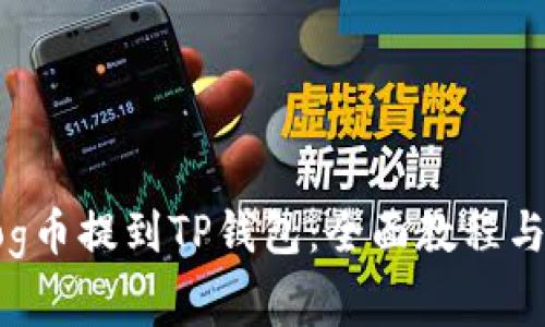 如何将Dog币提到TP钱包：全面教程与注意事项