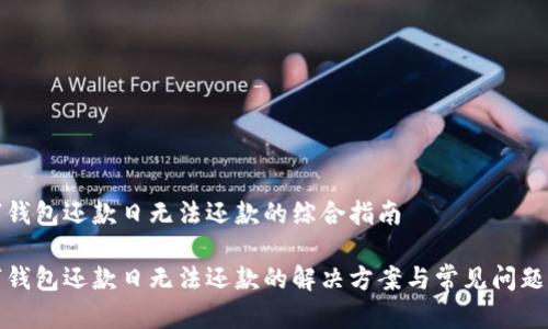 数字钱包还款日无法还款的综合指南

数字钱包还款日无法还款的解决方案与常见问题解析