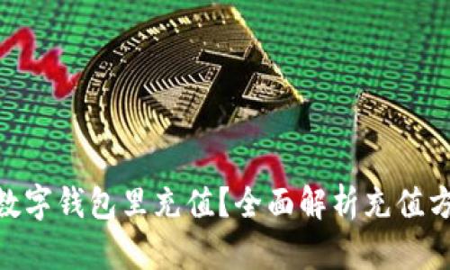 : 如何往数字钱包里充值？全面解析充值方式与步骤
