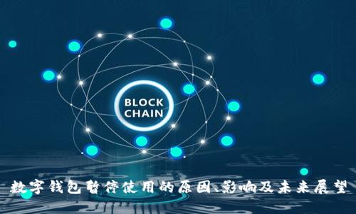 数字钱包暂停使用的原因、影响及未来展望