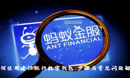 如何使用建设银行数字钱包：步骤与常见问题解答
